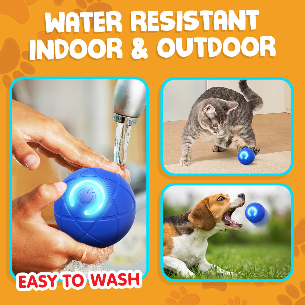 Paw Journey® Interactive Pet Toys for Dog & Cat Durable Automatic Bouncing & Rolling Ball