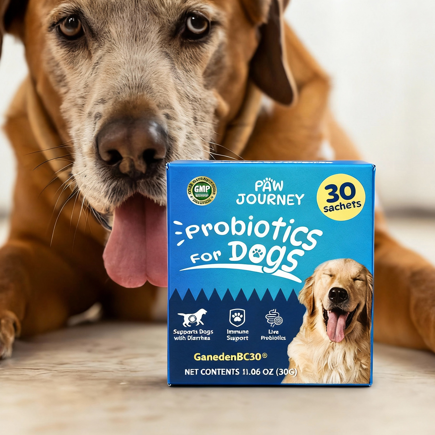 PawJourney® Probiotics for Dogs