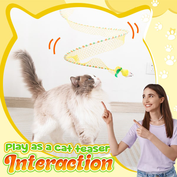PawJourney® Self-play Cat Hunting Spiral Tunnel Toy