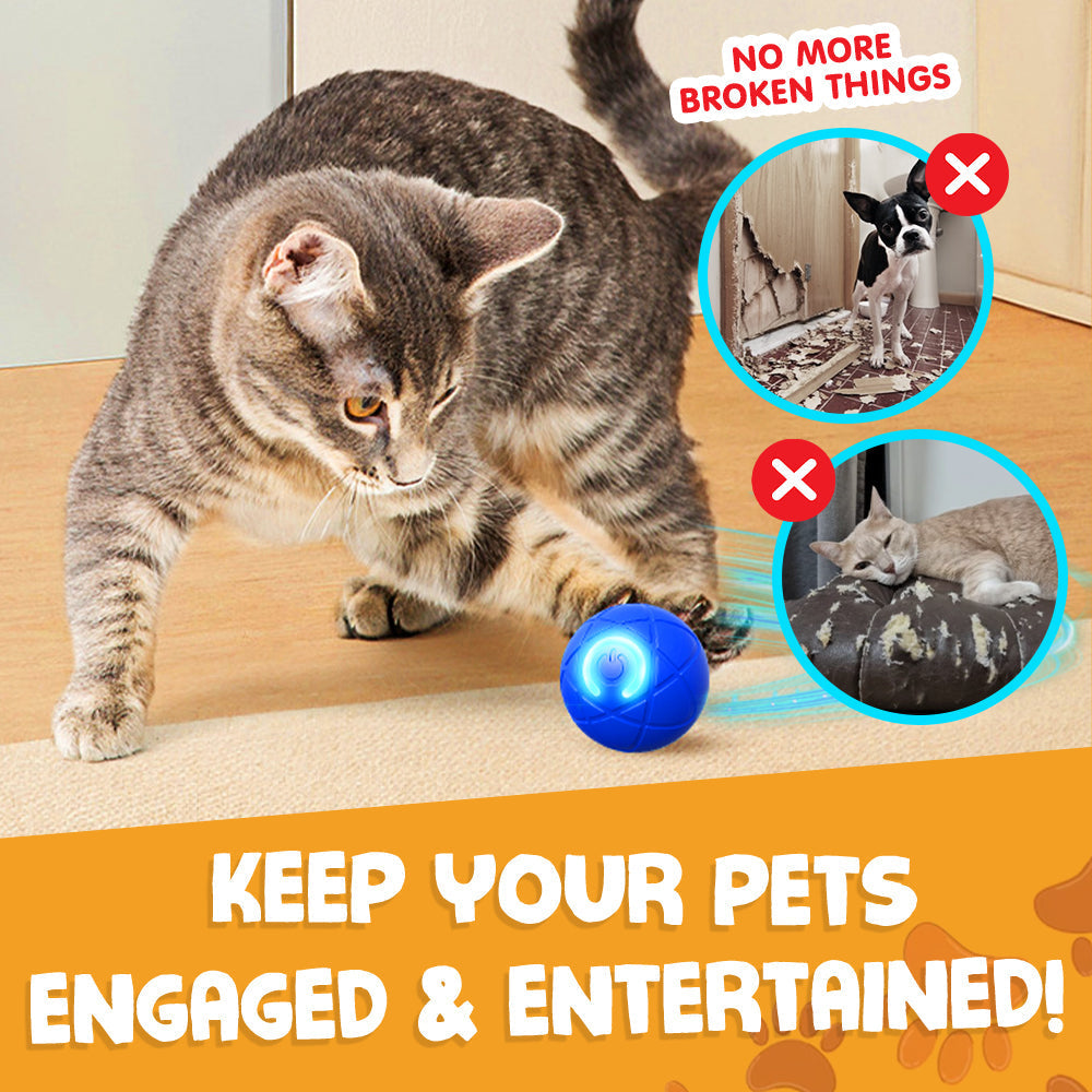 Paw Journey® Interactive Pet Toys for Dog & Cat Durable Automatic Bouncing & Rolling Ball