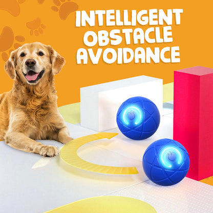 Paw Journey® Interactive Pet Toys for Dog & Cat Durable Automatic Bouncing & Rolling Ball