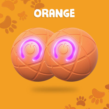 Paw Journey® Interactive Pet Toys for Dog & Cat Durable Automatic Bouncing & Rolling Ball