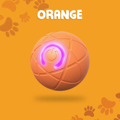 Paw Journey® Interactive Pet Toys for Dog & Cat Durable Automatic Bouncing & Rolling Ball