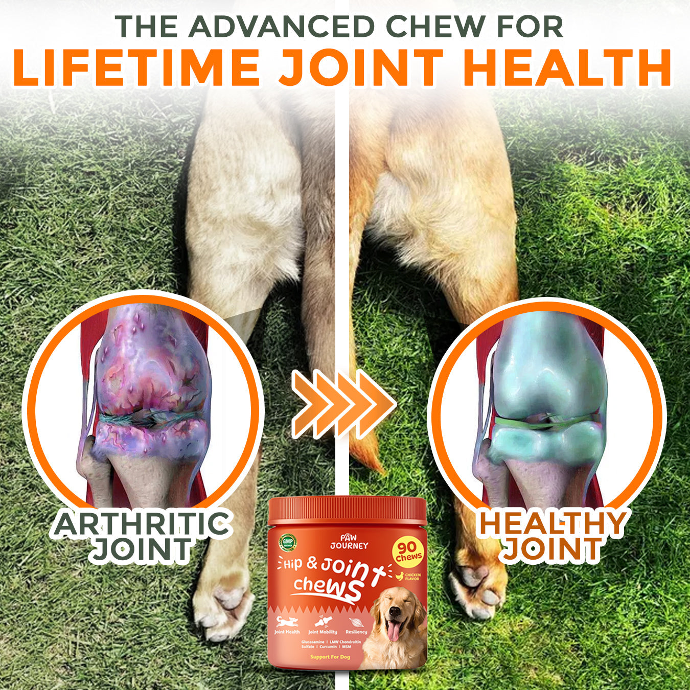 Paw Journey® Hip & Joint Chew -  Pet Joint Soothing Gummies
