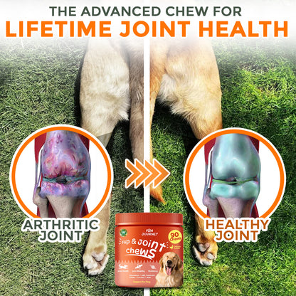 Paw Journey® Hip & Joint Chew -  Pet Joint Soothing Gummies