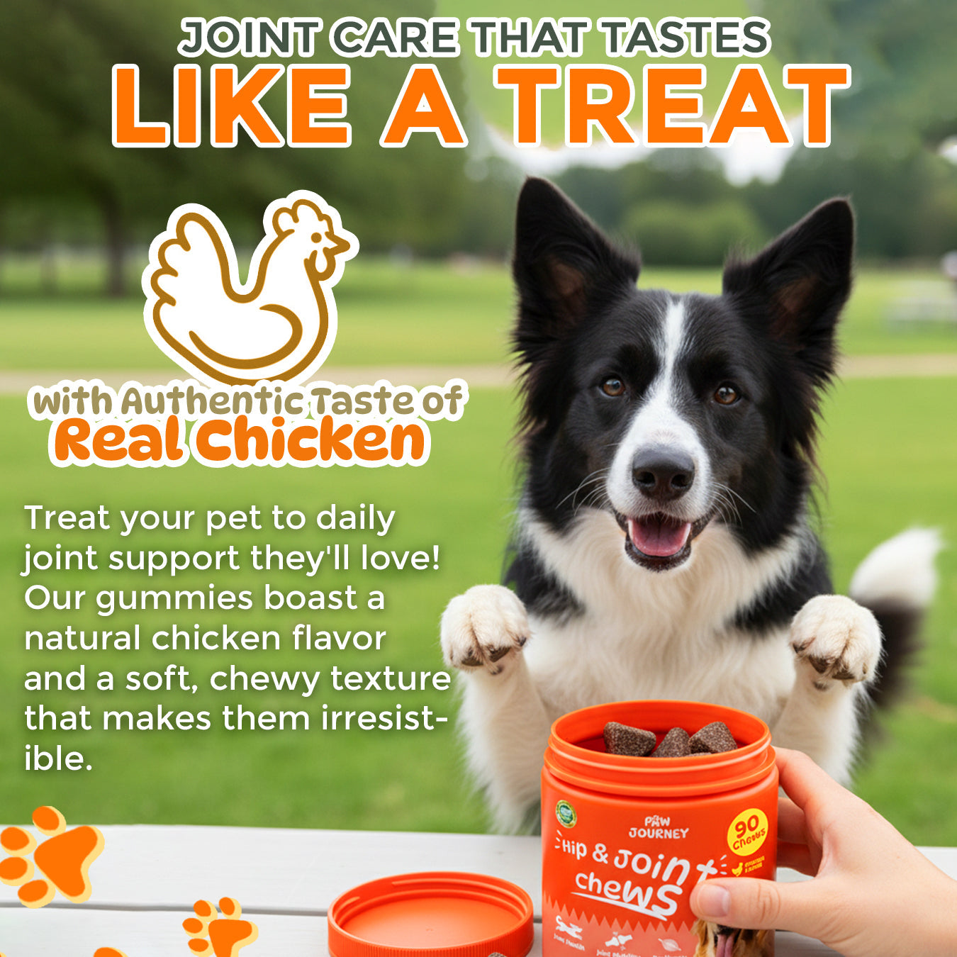 Paw Journey® Hip & Joint Chew -  Pet Joint Soothing Gummies