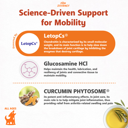 PawJourney® Hips&Joint Chews