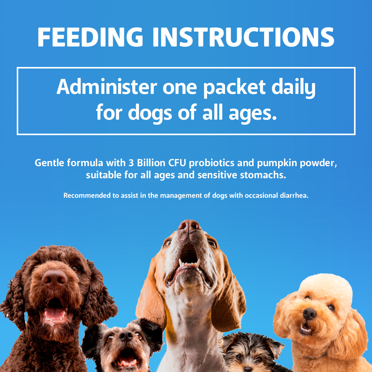 PawJourney® Probiotics for Dogs